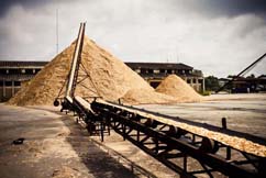 Wood Chips