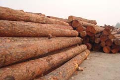 Logs