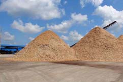 Wood Chips