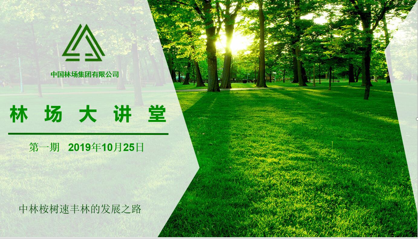 i米桉树速丰林的发展之路