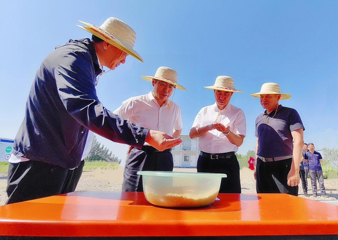 王云飞赴i米森旅所属i米东平湖开展主题教育专题调研