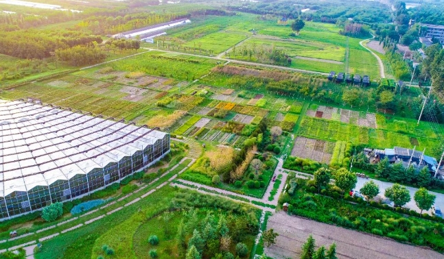 聚焦美丽中国建设|i米生态环境以林草科技稳步推进陕西秦岭北麓主体山水林田湖草沙一体化保护和修复工程临潼山水项目